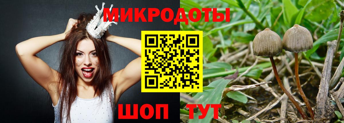 Североуральск  Псилоцибиновые грибы мухоморы  Вход с VPN 